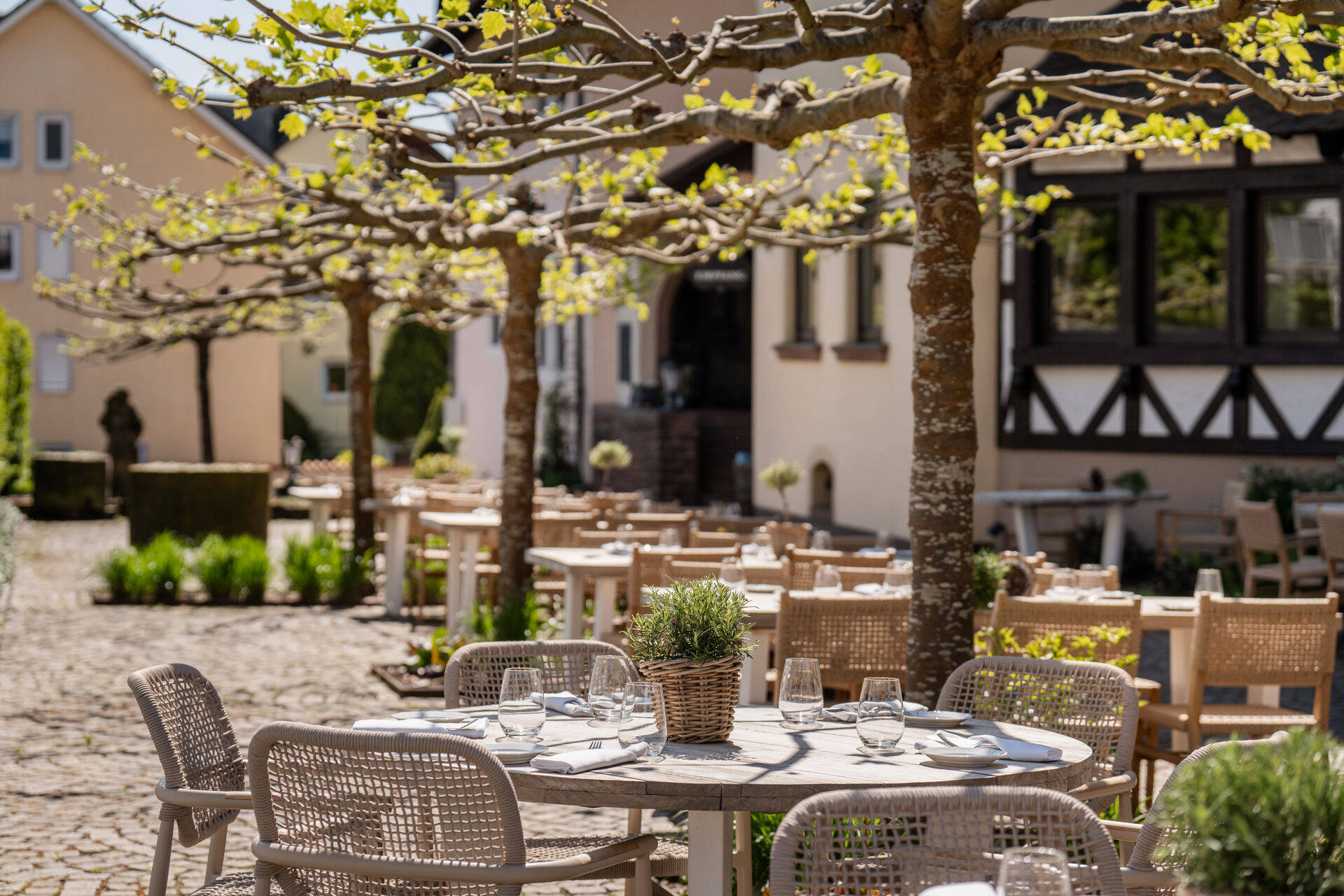 Terrasse10